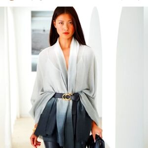 Carly Cushnie Scarf NWT Ombre Print